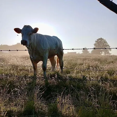 La Longère Au Puits Hébergement de vacances *