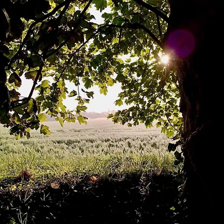 Hébergement de vacances La Longère Au Puits *