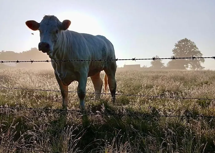 La Longere Au Puits 度假居 *