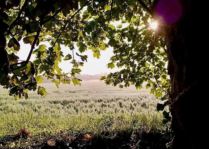 度假居 La Longere Au Puits *